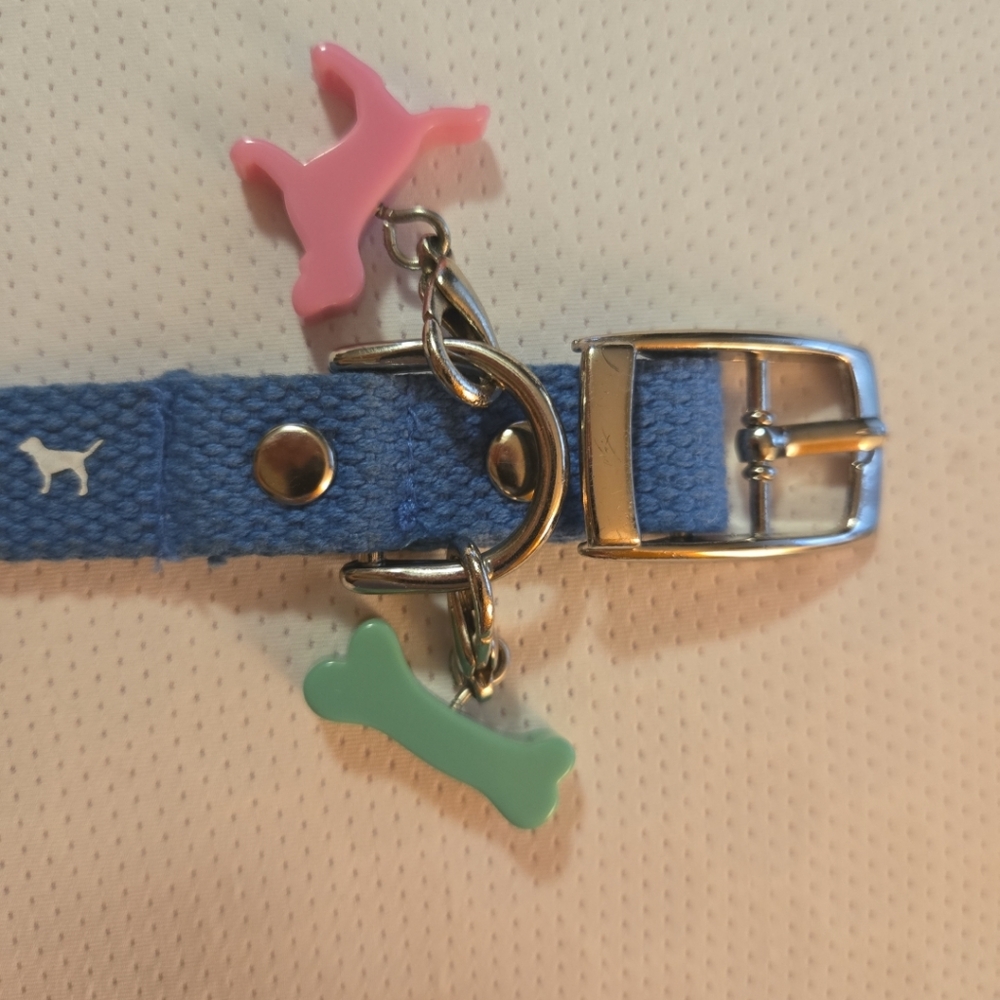 Very rare dog collar from Victoria's Secret Pink - Picture 2 of 10
